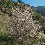 Casa Servando * تيخيدا