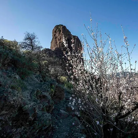 Casa Servando Летний дом Крус-де-Техеда