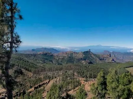 カントリーハウス Casa Servando クルス・デ・テヘーダ
