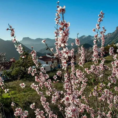 Séjour à la campagne Casa Servando Tejeda (Gran Canaria)