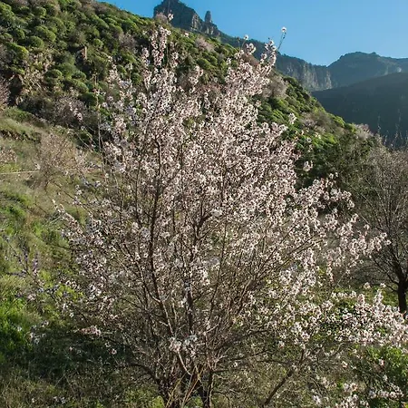 Casa Servando * Tejeda (Gran Canaria)
