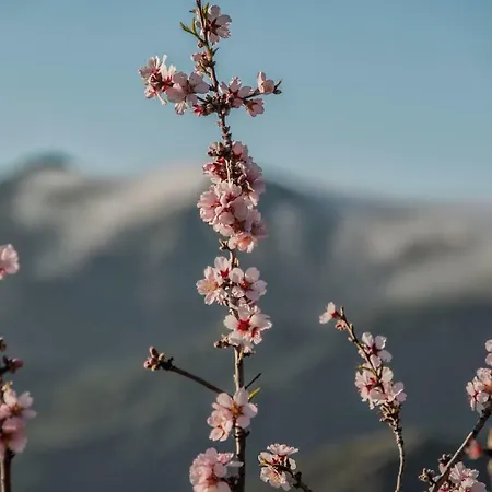Séjour à la campagne Casa Servando Tejeda (Gran Canaria)